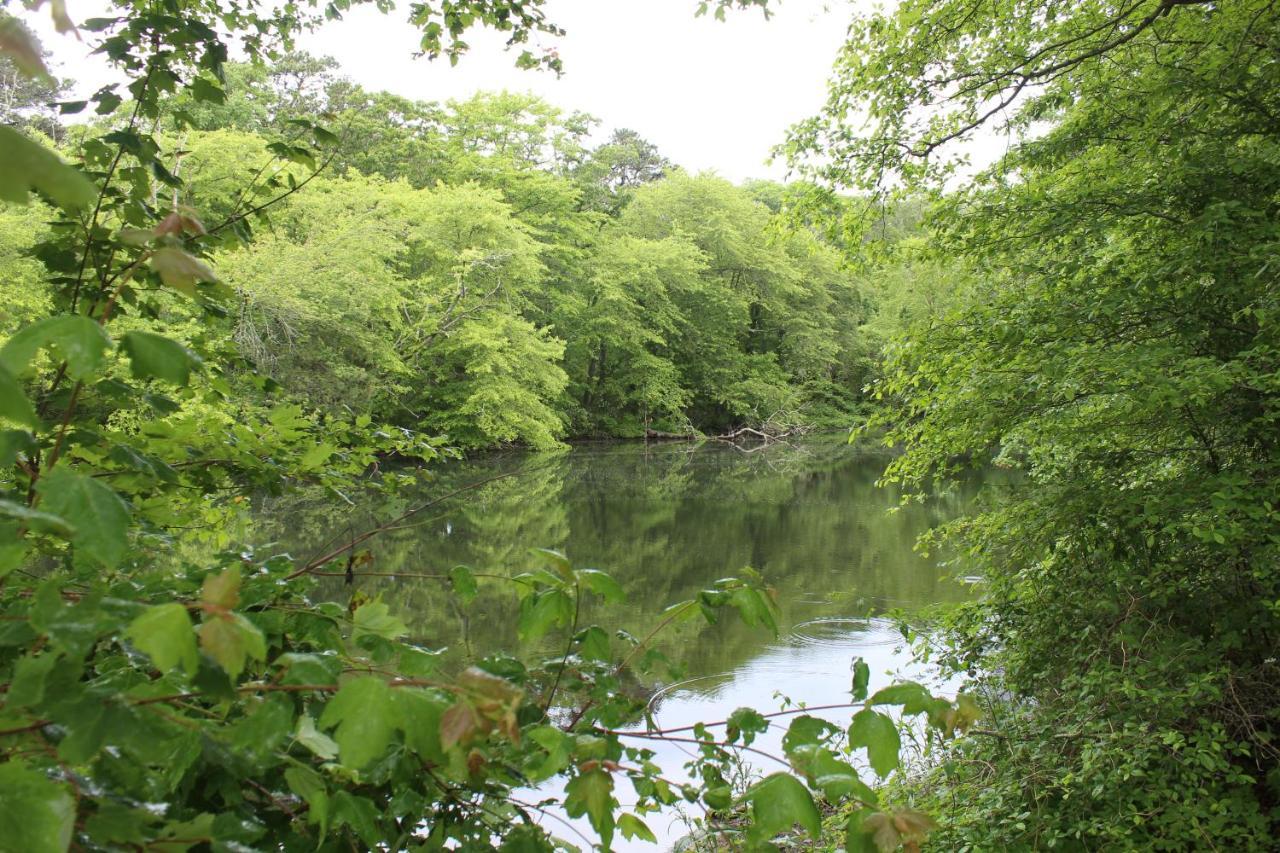 Herring Run Борн Екстериор снимка