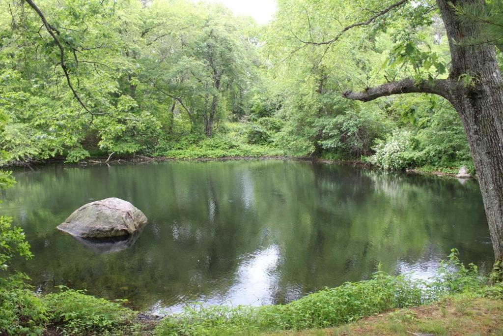 Herring Run Борн Екстериор снимка