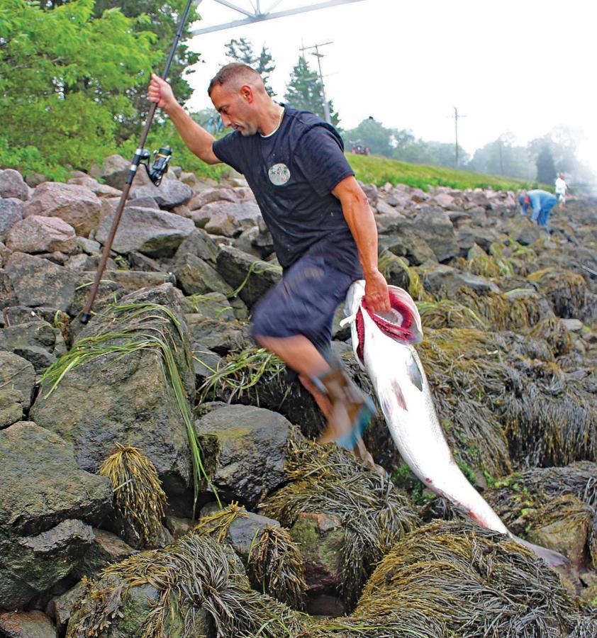 Herring Run Борн Екстериор снимка