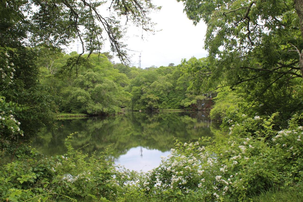 Herring Run Борн Екстериор снимка