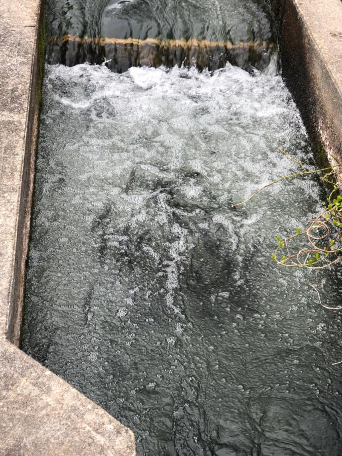 Herring Run Борн Екстериор снимка